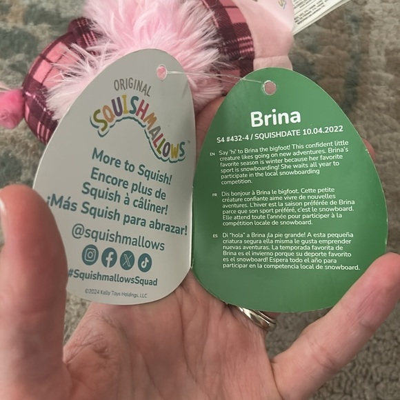 Squishmallow mini plush Brina doll NWT - Picture 4 of 4